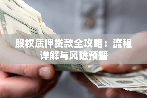 北京股权质押贷款全攻略：流程详解与风险预警