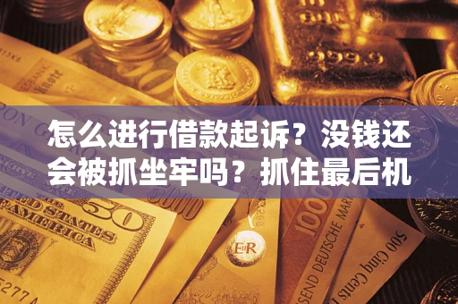 北京怎么进行借款起诉？没钱还会被抓坐牢吗？抓住最后机会！