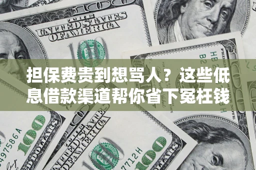 北京担保费贵到想骂人？这些低息借款渠道帮你省下冤枉钱