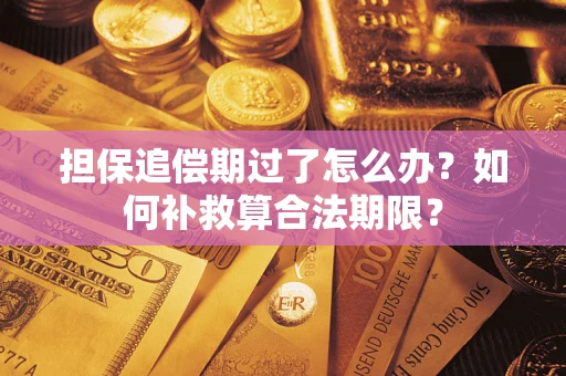 北京担保追偿期过了怎么办？如何补救算合法期限？