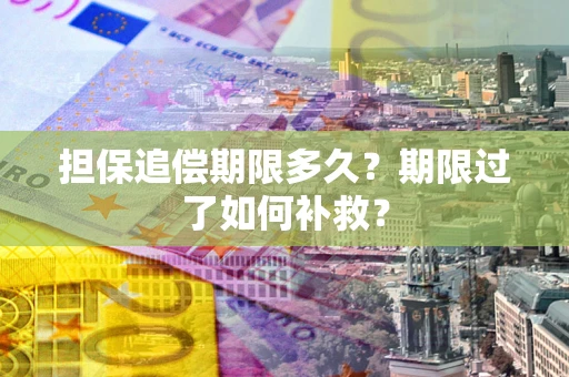 北京担保追偿期限多久？期限过了如何补救？