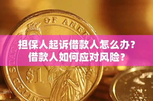 北京担保人起诉借款人怎么办？借款人如何应对风险？