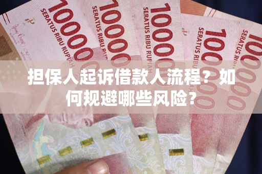 北京担保人起诉借款人流程？如何规避哪些风险？
