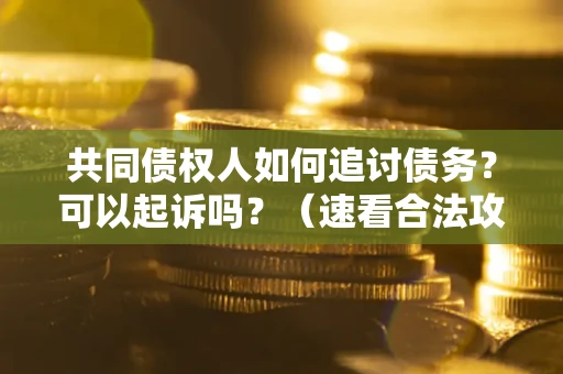 北京共同债权人如何追讨债务？可以起诉吗？（速看合法攻略）