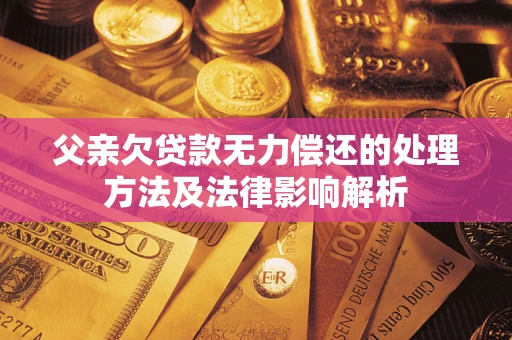 北京父亲欠贷款无力偿还的处理方法及法律影响解析