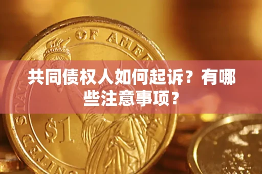 北京共同债权人如何起诉？有哪些注意事项？